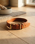 Leather Dog Collar with Brass Buckle